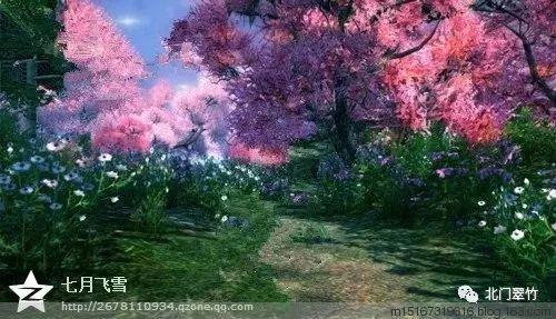 禅宗花园