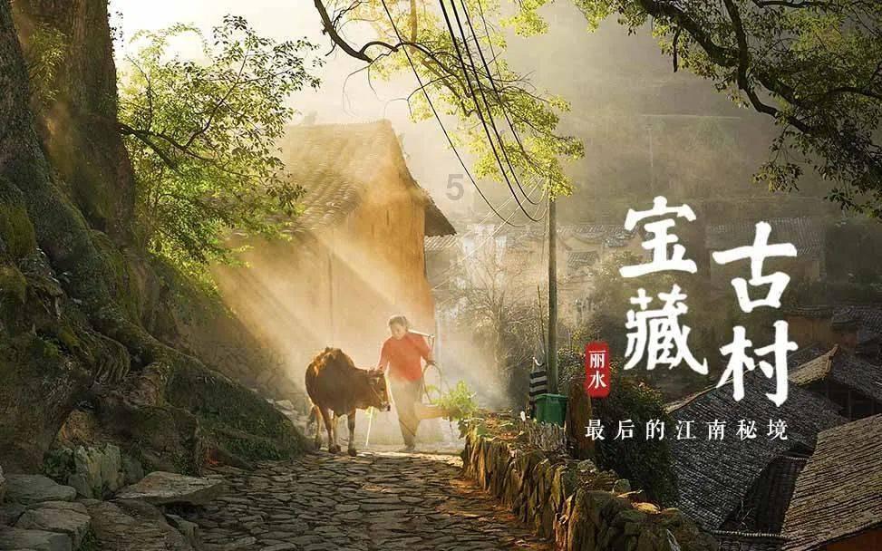 区域协同发力，构筑科创“强磁场”