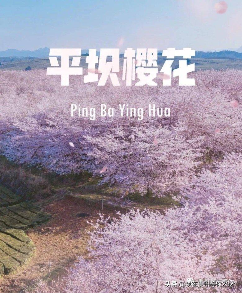 秘境对决