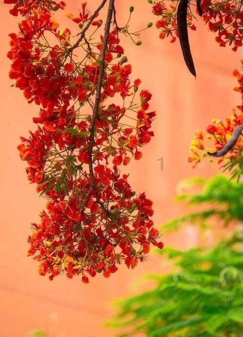 逃离花园电机室