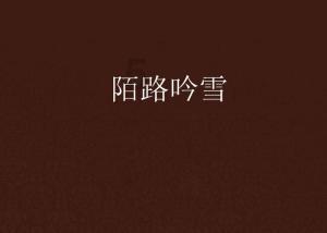 时尚拼接牛仔裤