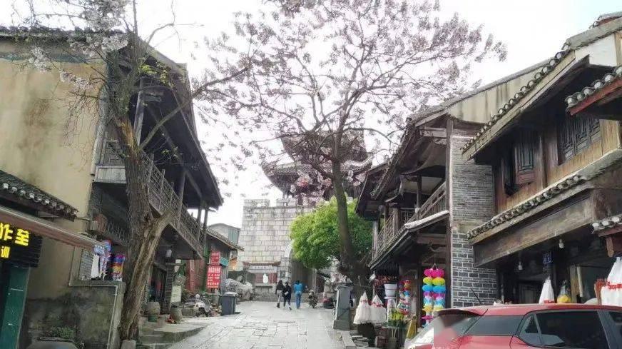 逃离亚洲丛林