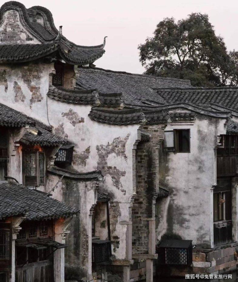 春雨直播app